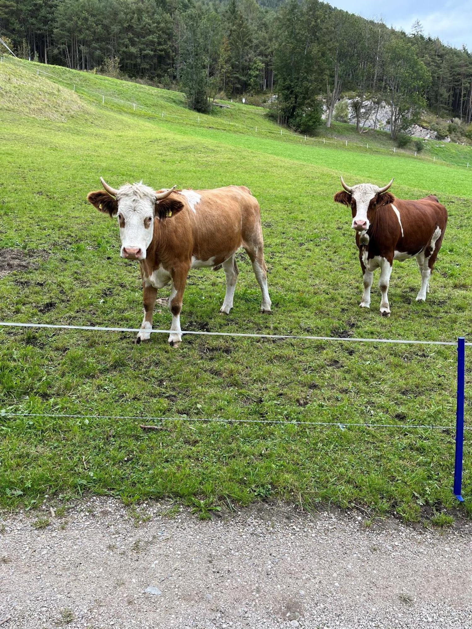 Meilerhof Reith bei Seefeld Exterior photo